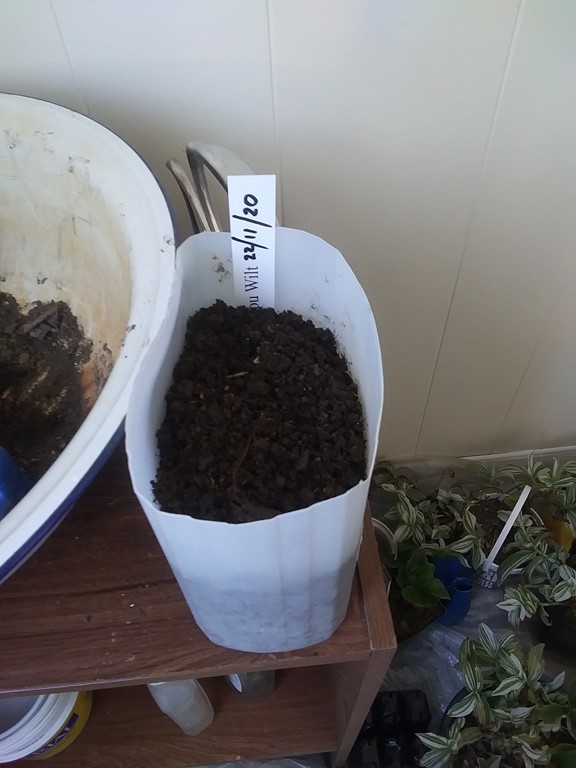 Christopher Greaves 2022_11_20221120_101718.jpg